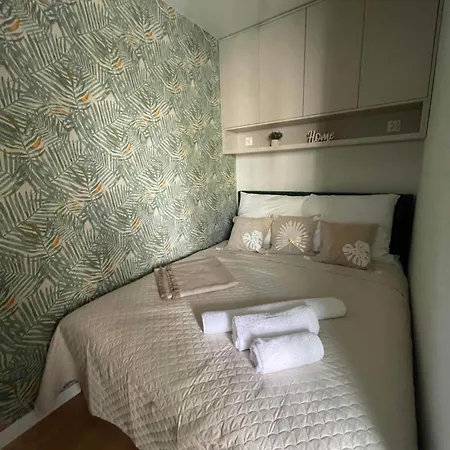 Apartament 41